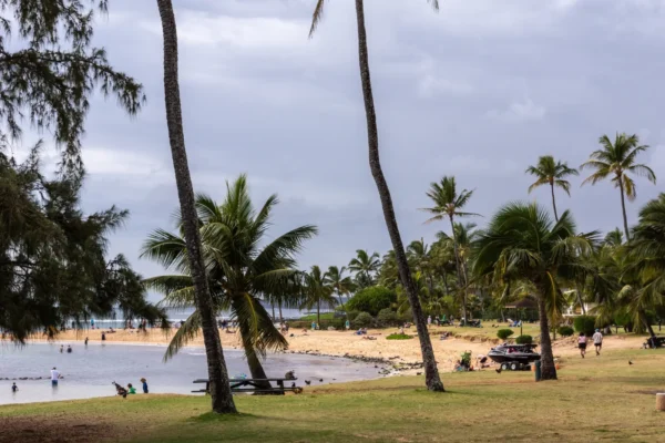 Palm trees and grassy shoreline at Poipu Beach in Kauai, Hawaii, with people relaxing along the sandy beach under cloudy skies.