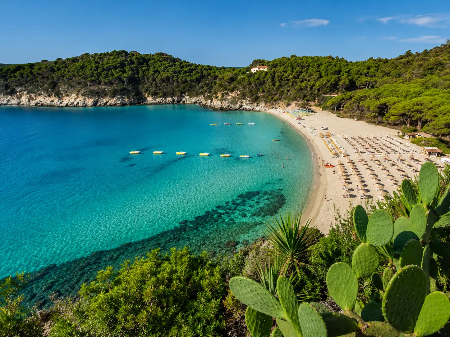 Panoramic view of Spiaggia di Fetovaia on Elba Island in Tuscany with turquoise water, sandy beach and Mediterranean vegetation under a clear blue sky.