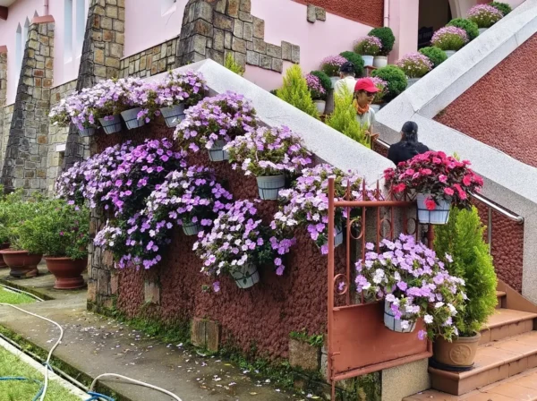4d. Floral stairway