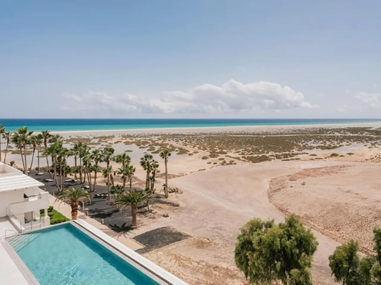 Aerial view of ZEL Fuerteventura's infinity pool overlooking Sotavento Beach, with palm trees, arid sandy landscape, and the turquoise Atlantic Ocean in the background, Pajara, Fuerteventura