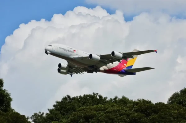 Asiana Airlines Airbus A380 aircraft taking off above trees with towering clouds in the background