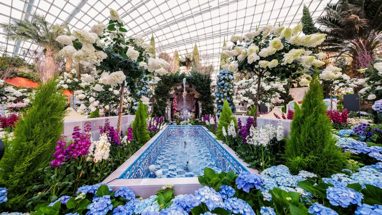 Blue Beauties floral exhibition at Gardens by the Bay featuring Ottoman-inspired gardens, hydrangeas, fountains and Iznik-style tile designs.