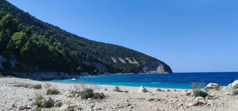 A pebble and rock beach on Sazan island off Albania's Adriatic coast, with a forested headland sloping into clear turquoise water under a bright blue sky