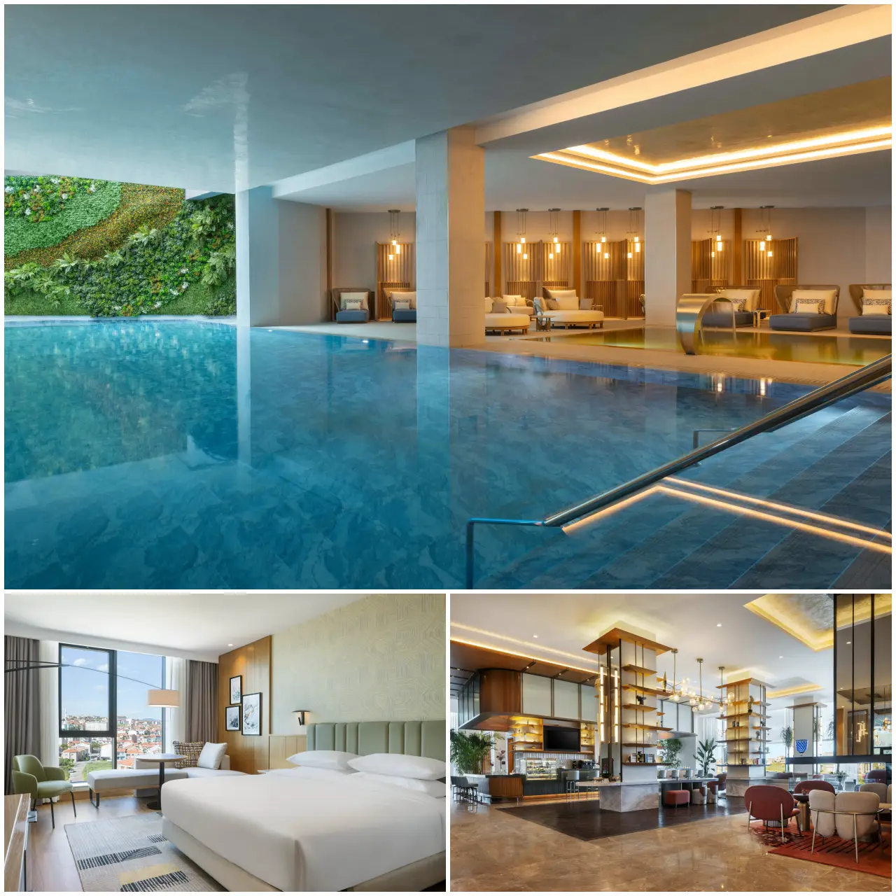 Sheraton Uşak Hotel And Thermal Spa Opens As Marriott'S 500Th Emea Premium Hotel 3 A three image collage of the Sheraton Usak Hotel and Thermal Spa, showing an indoor swimming pool with a living green wall and lounge seating, a guest room with a king bed and city view, and a bright restaurant and lobby area with wood shelving and marble flooring.