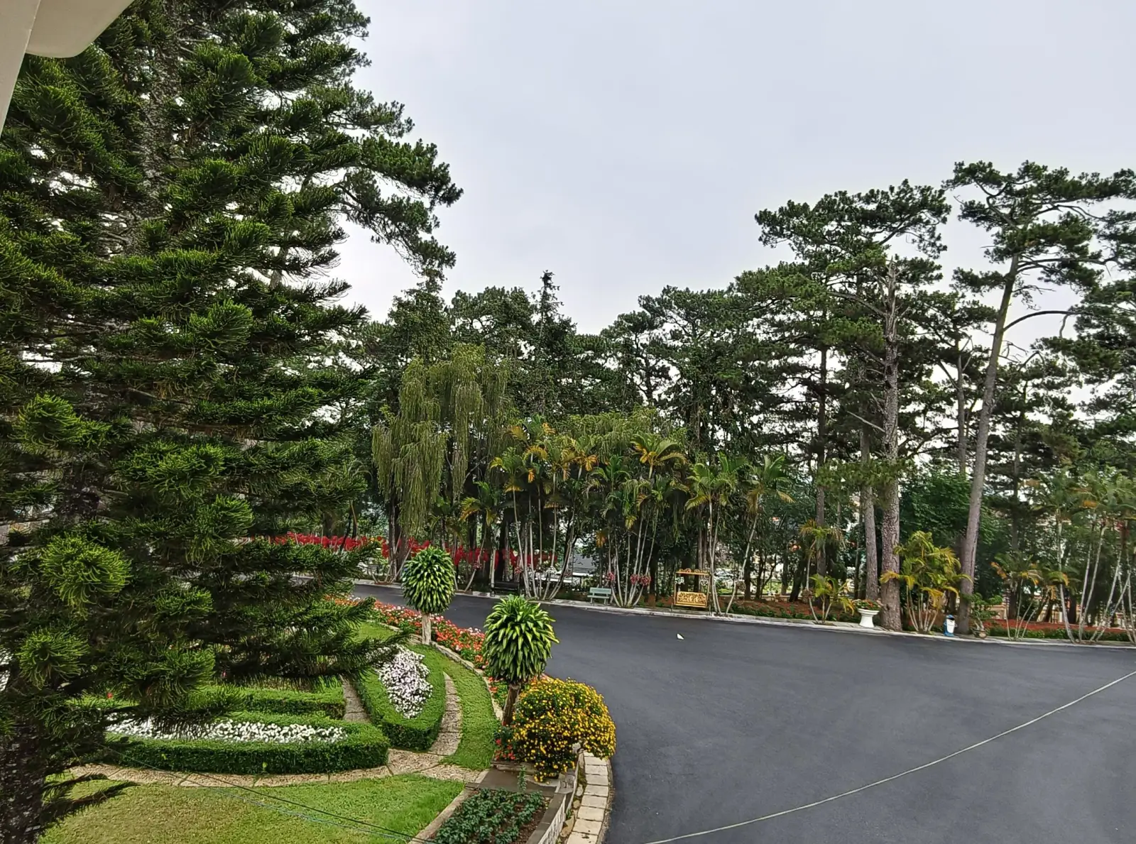 Memories From A Bygone Era: The Summer Holiday Villa Of Vietnam’s Last King 3 2a. Pine trees Dinh3 Vietnam