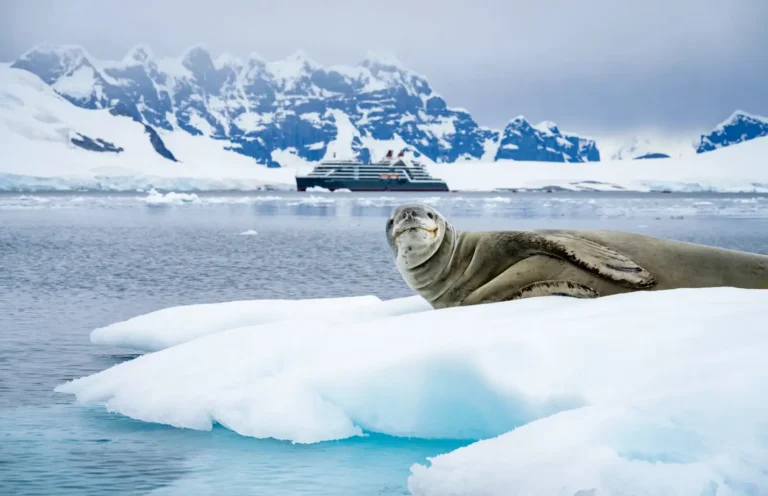 A seal rests on an Antarctic ice floe with a Seabourn expedition ship cruising through icy waters against a backdrop of snow-covered mountains.