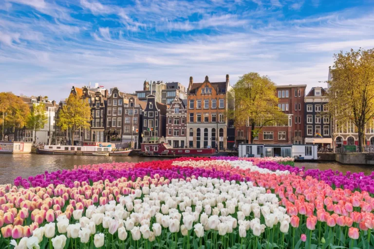 Tours 6 Colorful tulip display along an Amsterdam canal with historic canal houses, houseboats, and spring trees under a blue sky.