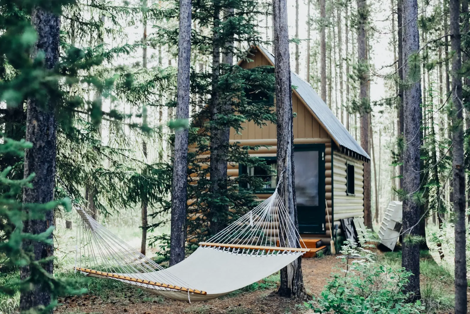 Vrbo Us Vs. Hotels: Why Vrbo Makes Vacations Feel Bigger 6 Cozy wooden cabin with a hammock surrounded by tall pine trees in a peaceful forest setting